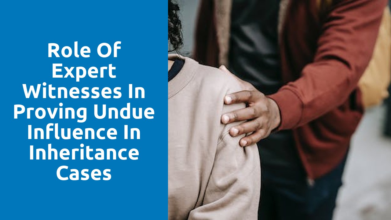 Role of Expert Witnesses in Proving Undue Influence in Inheritance Cases